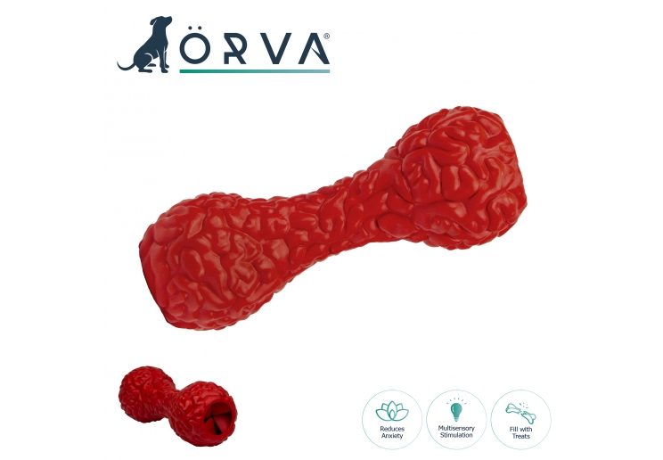 Orva Brain Treat Dumbbell