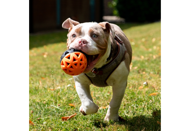 Extreme Floating Ball