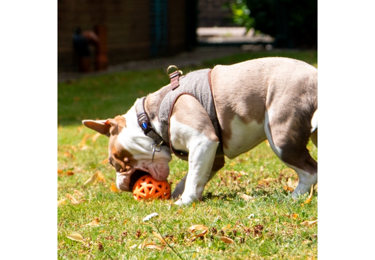 Extreme Floating Ball