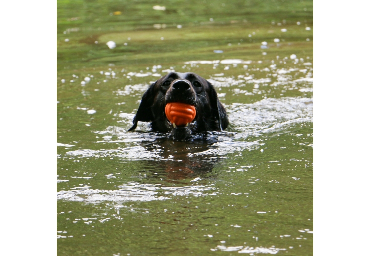 Tough Ribbed Ball