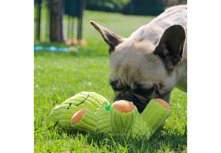 Orva Treat Tummy Frog