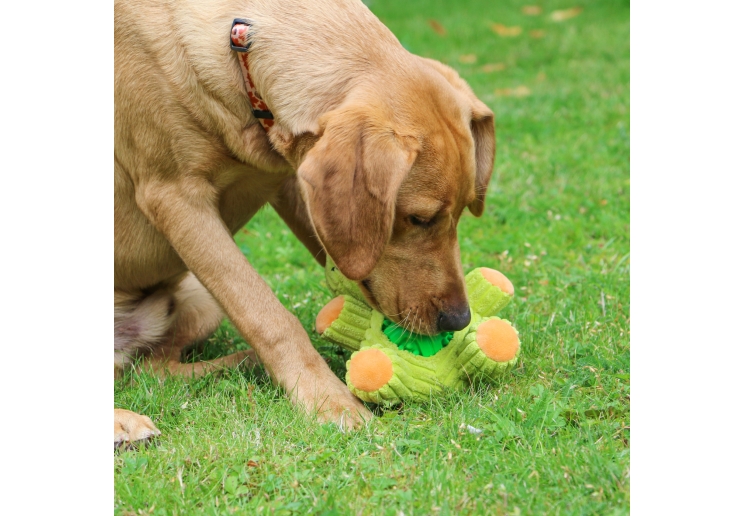 Orva Treat Tummy Frog