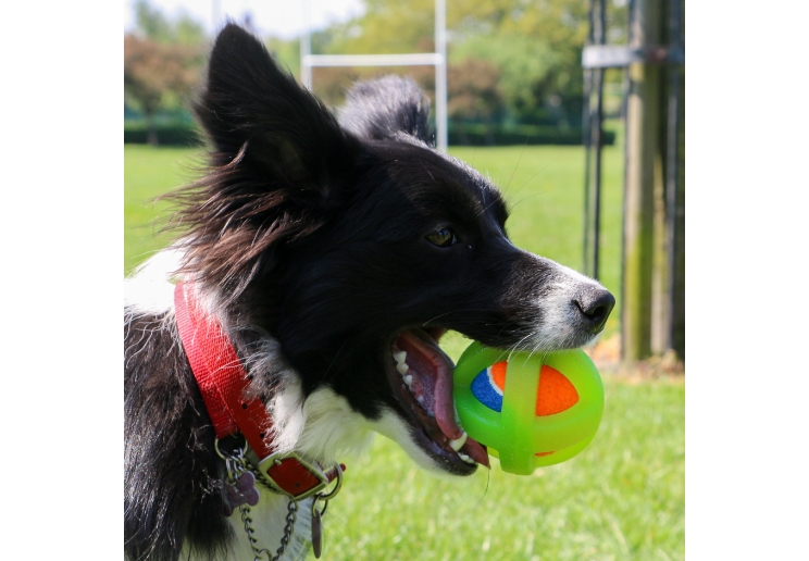 Tough Framed Tennis Ball