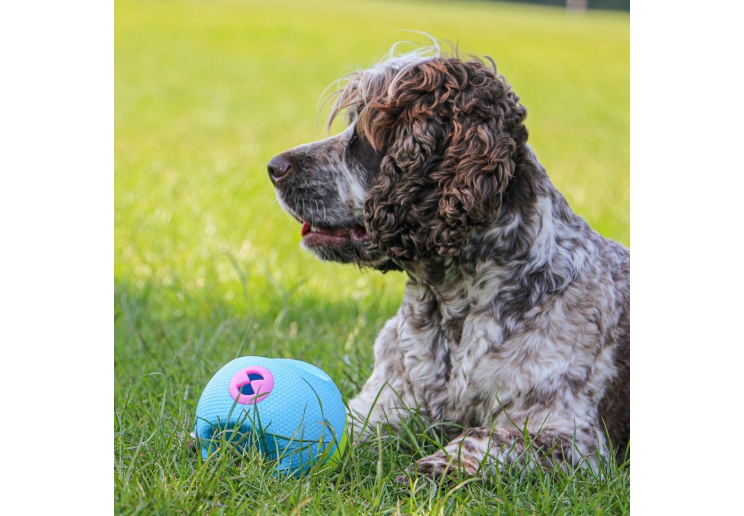 Interactive Treat Ball