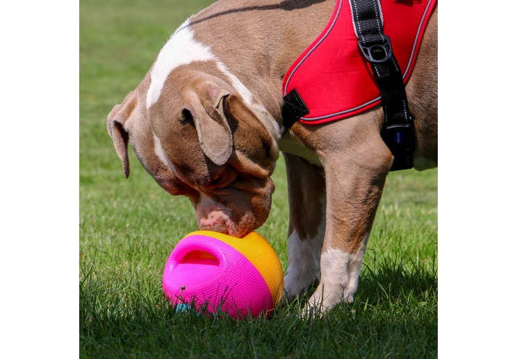 Large Interactive Treat Ball