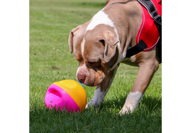 Large Interactive Treat Ball