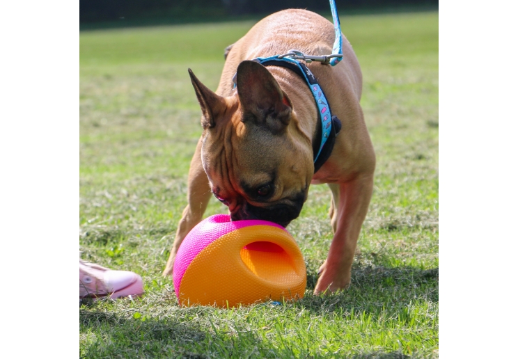 Large Interactive Treat Ball