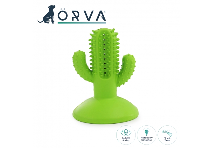 Orva Cactus Toothbrush