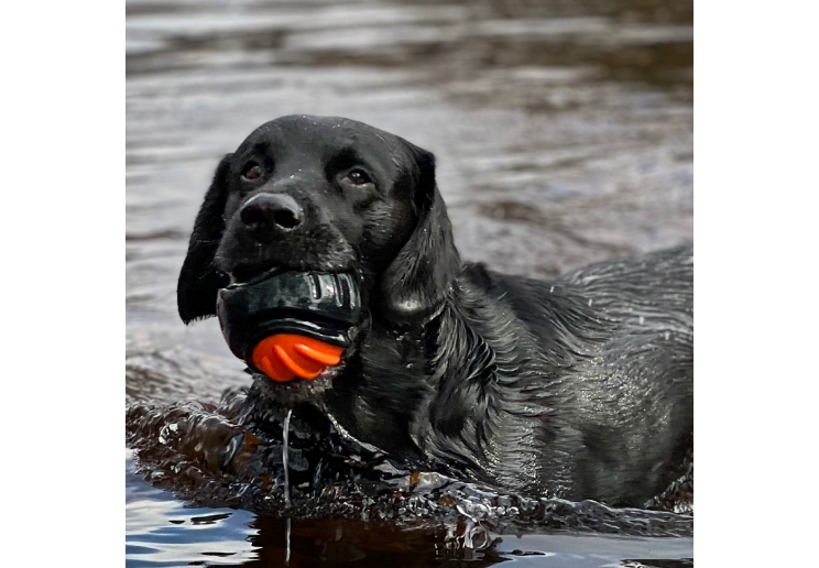 Extreme Tough Ball