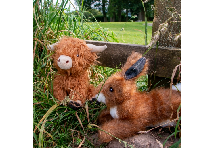 Heritage Fergus Highland Cow