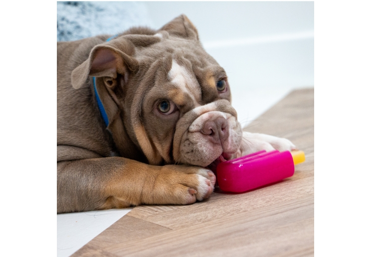 Small Bite Ice Teethers