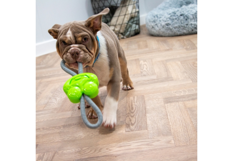 Small Bite Frog Teether Tugger