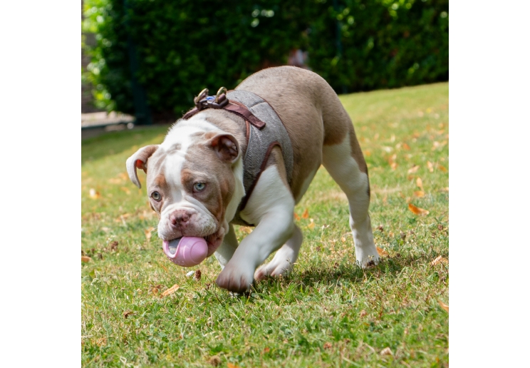 Small Bite Rugby Ball Teether