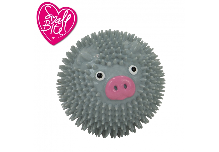 Small Bite Spikey Pig Ball