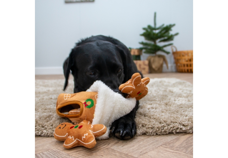 Christmas Dog Toy Deal 2024