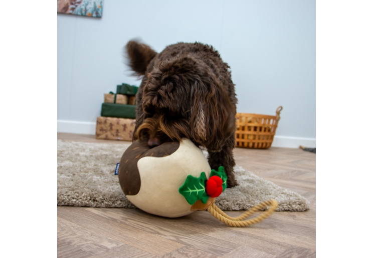 Christmas Dog Toy Deal 2024