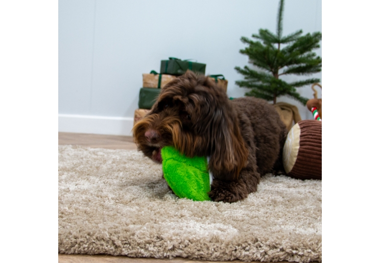 Christmas Dog Toy Deal 2024