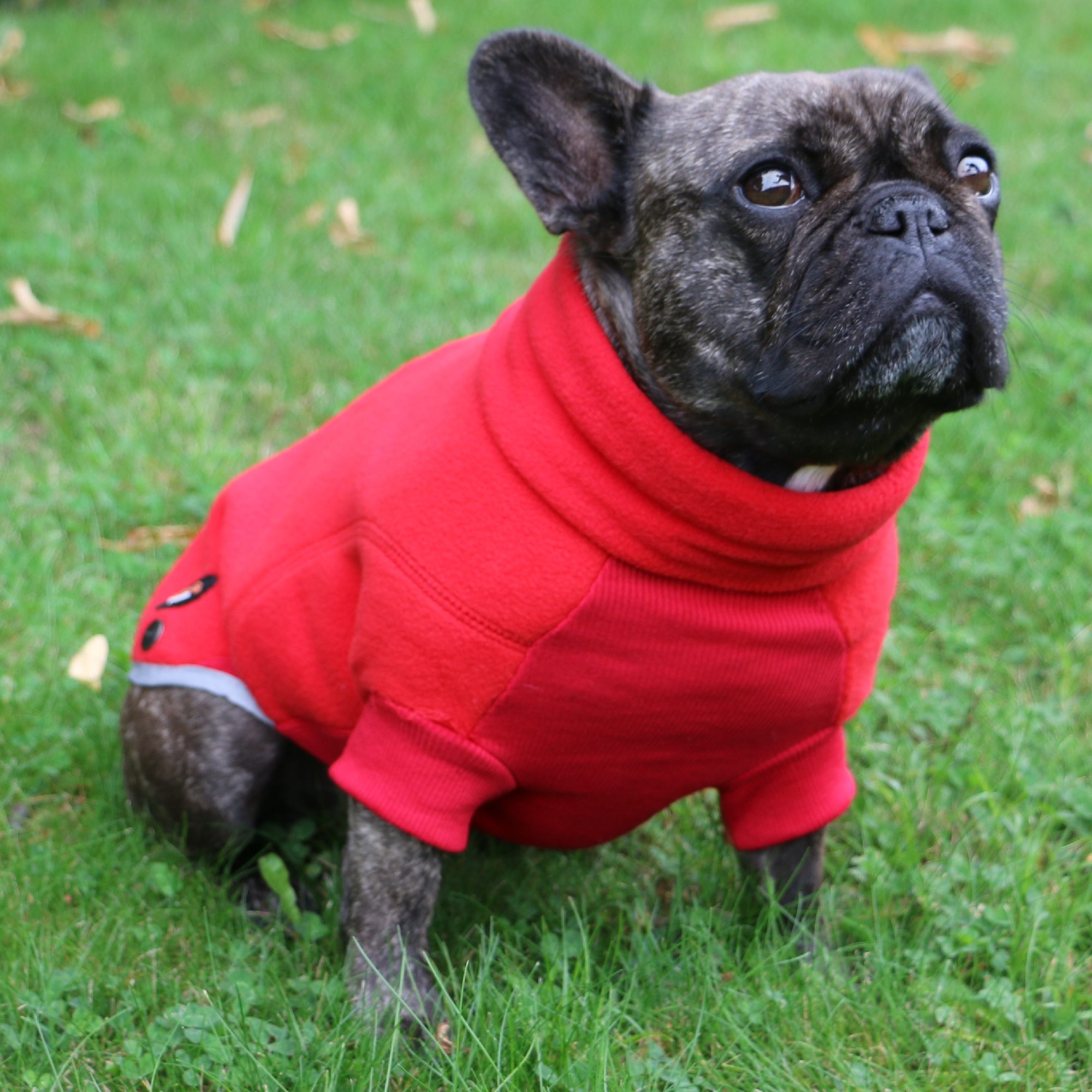 Ancol best sale dog jumpers