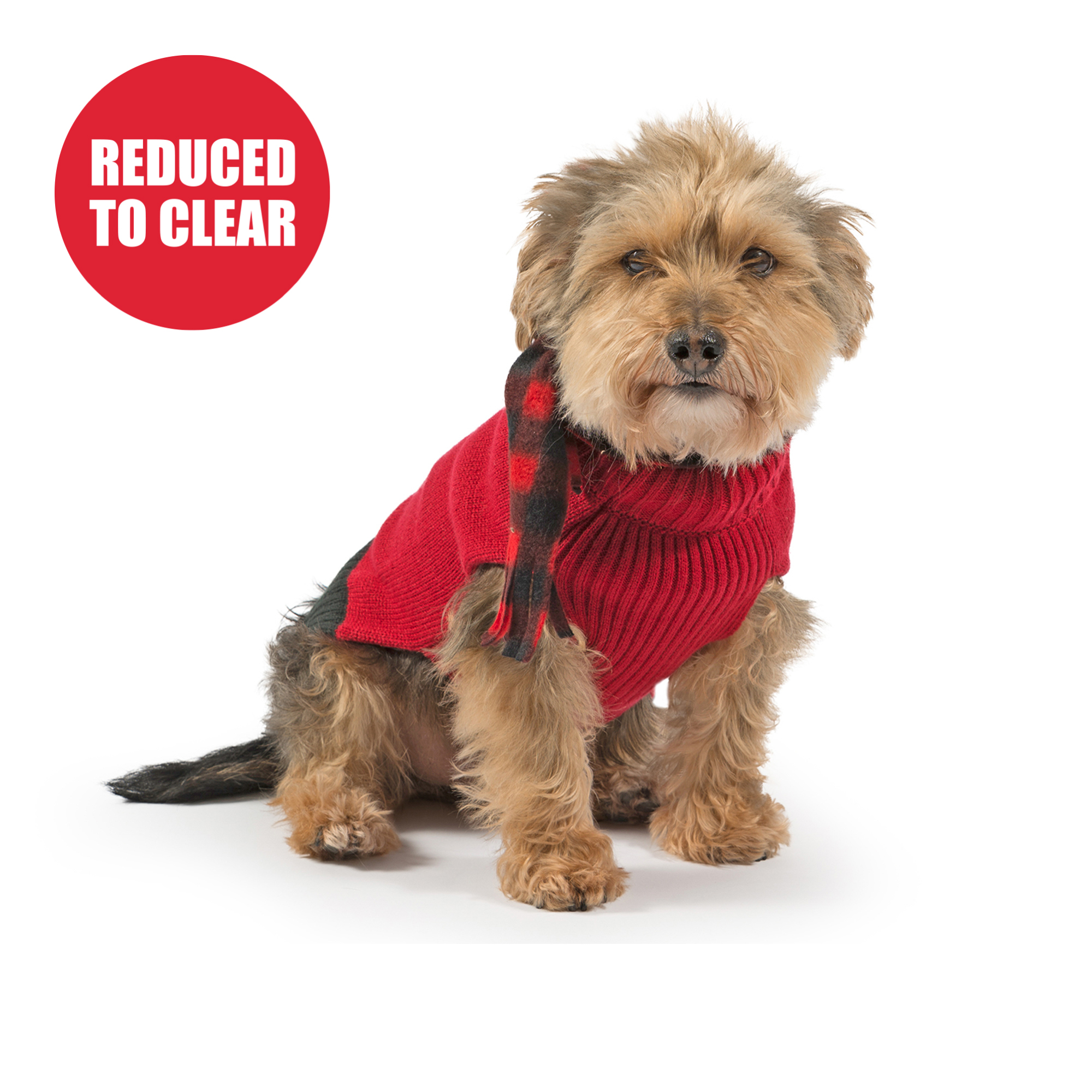 Dog with hotsell red scarf